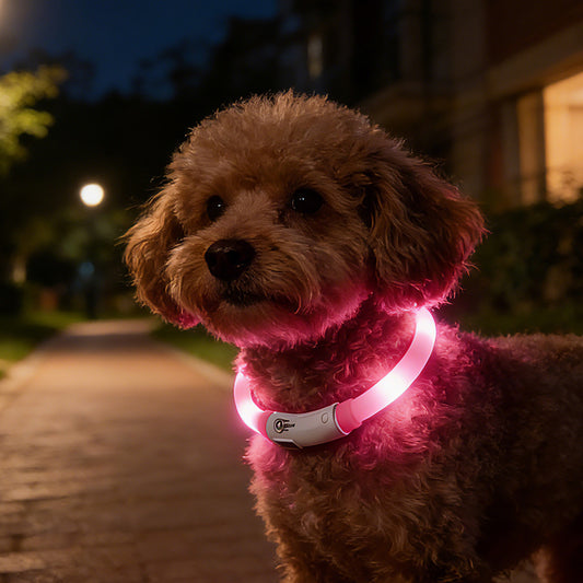 Luminous Collar Led Pet Collar Cat And Dog Pet Supplies Night Light Dog Walking Light Glowing Dog Collar Flashing Neckband USB